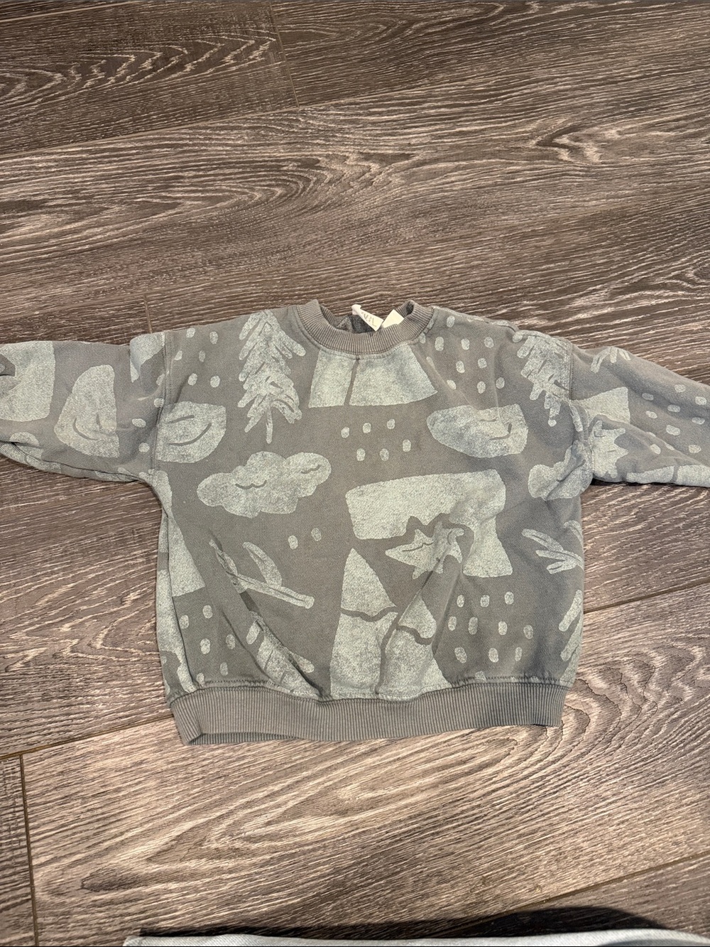 ZARA 18-24 months boys graphic sweater